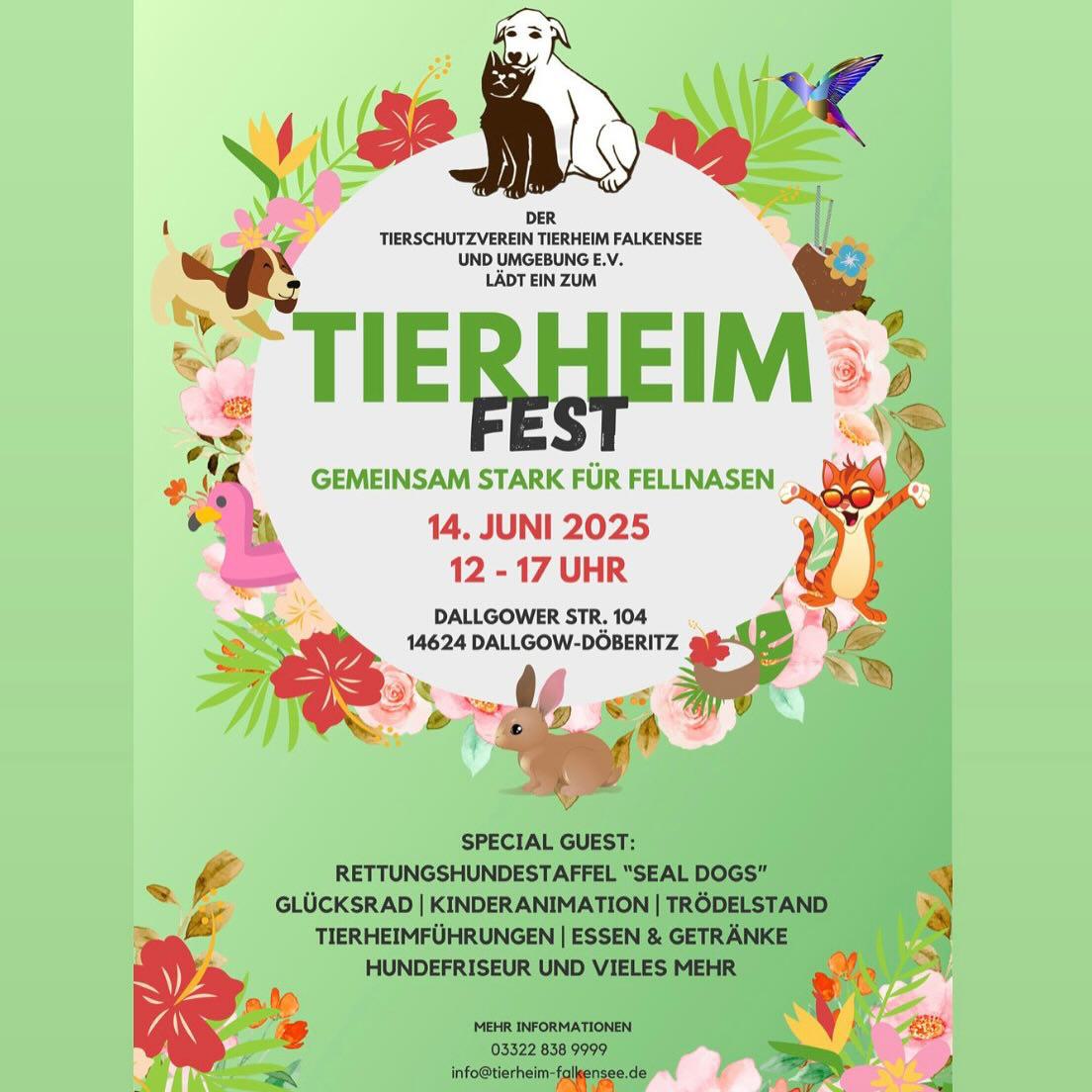 Tierheimfest 6-2025